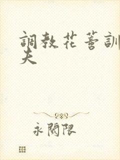 调教花蒂训诫从夫