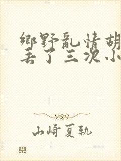 乡野乱情胡秀英丢了三次小说封面