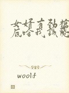 女婿有劲枪枪到底啥我钱飞了封面