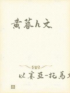 黄蓉h文封面