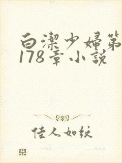 白洁少妇第1一178章小说封面
