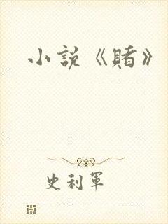 小说《赌》封面