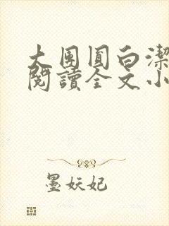 大团圆白洁免费阅读全文小说