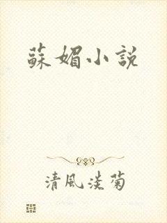 苏媚小说