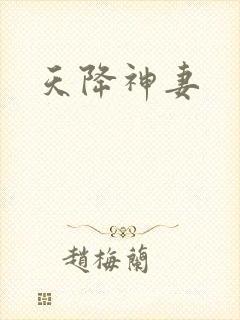 天降神妻