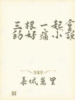 三根一起会坏掉的好痛小说