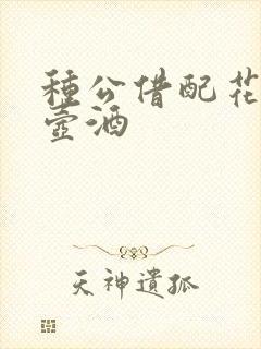 种公借配花间一壶酒