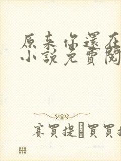 原来你还在这里小说免费阅读