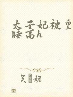 太子妃被皇上强睡高h