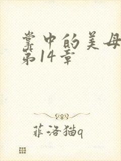 掌中的美母版主第14章