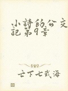 小诗的公交车日记第9章