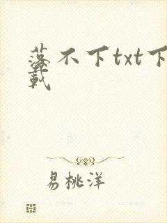 落不下txt下载