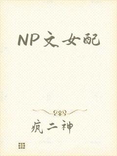 NP文女配