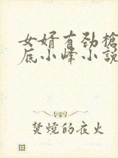 女婿有劲枪枪到底小峰小说