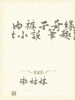 内裤子奇缘txt小说 笔趣阁封面