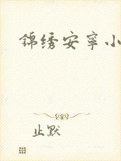 锦绣安宁小说