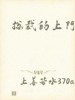 总裁的上门女婿