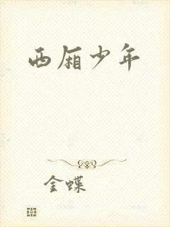 西厢少年