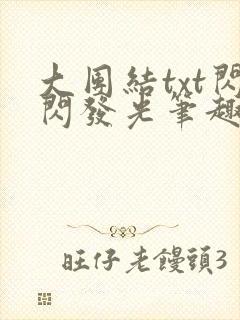 大团结txt闪闪发光笔趣阁