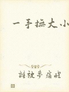 一手抚大小说