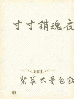 寸寸销魂夜春光