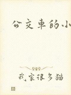 公交车的小说