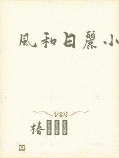 风和日丽小说
