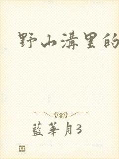 野山沟里的村庄