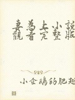 妻为上小说免费观看完整版笔趣阁