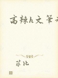 高辣h文笔趣阁