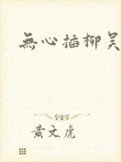 无心插柳吴悠封面