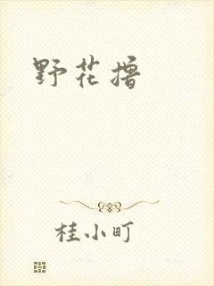 野花撸