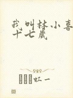 我叫林小喜今年十七岁