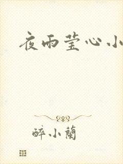 夜雨莹心小说