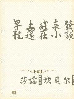 早上醒来发现巨龙还在小说封面