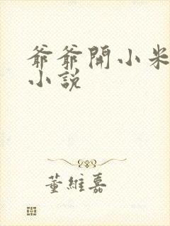爷爷开小米的包小说