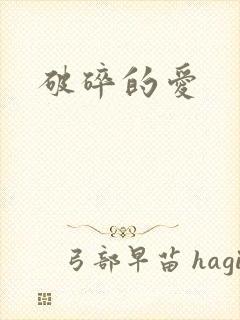 破碎的爱