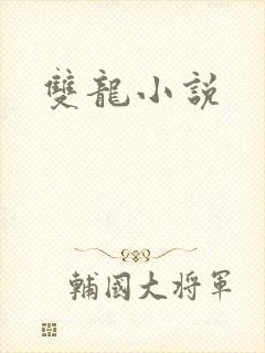 双龙小说