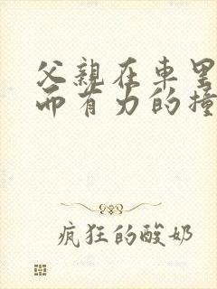 父亲在车里缓慢而有力的撞着封面