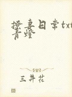 撩妻日常txt青灯
