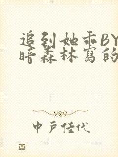 追到她乖BY黑暗森林写的小说