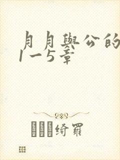 月月与公的激情1一5章