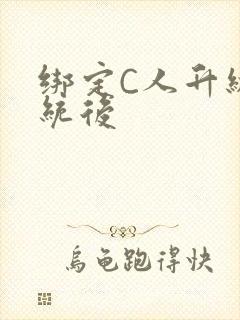 绑定C人升级系统后封面