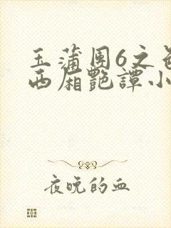 玉蒲团6之色情西厢艳谭小说封面