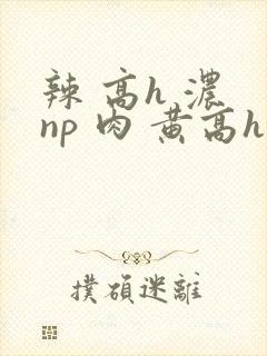 辣 高h 浓 np 肉 黄高h