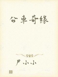 公车奇缘