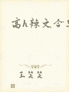 高h辣文合集封面