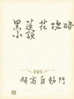 黑莲花攻略手册小说