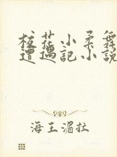 校花小柔舞蹈室遭遇记小说封面