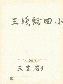 三线轮回小说封面